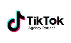 tiktok agency partner